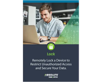 lenovo absolute theft protection - standard 2 year