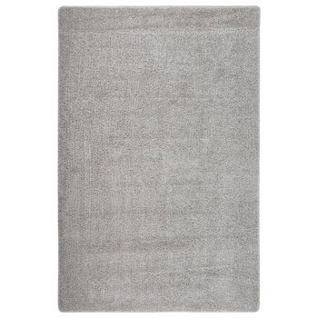 Alfombra Peluda Antideslizante Gris Claro 200x290 Cm Vidaxl