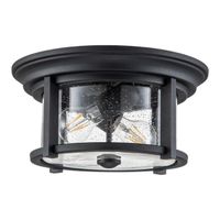 plafon de techo merrill 2 luces