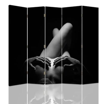 Biombo Artistic Nude - Separador De Ambientes Cm. 180x180 (5 Paneles)