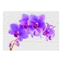 papel pintado 3d - estimulacion violeta 200x140 cm