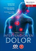 guia practica de intervencion en dolor