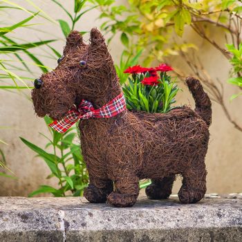 Scottie Dog Rattan Planter
