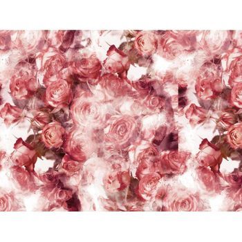 Fotomural Vinilo Floral Rosas Rojas 400 X 300 Cm
