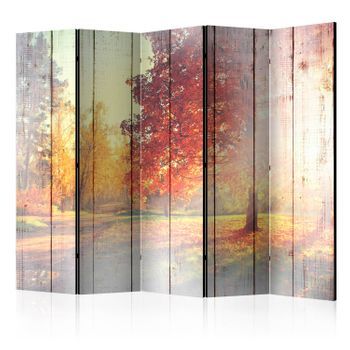 Biombo - Autumn Sun Ii (225x172 Cm)