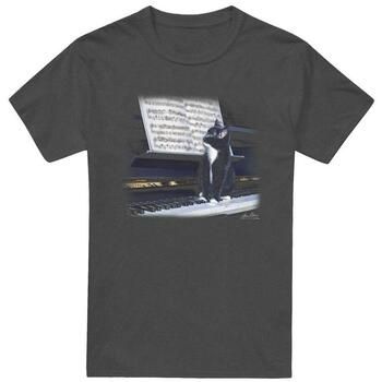 Wildlife Camiseta Kitten On The Keys para mujer