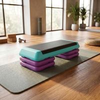 step de aerobic homcom plastico 110x40x20 cm multicolor