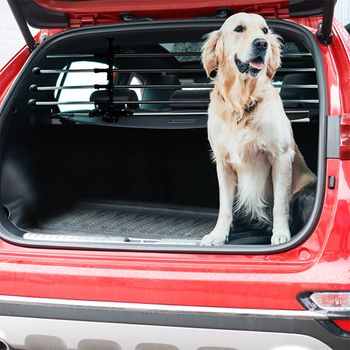 Deluxe Dog Guard