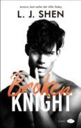 broken knight