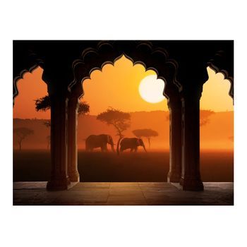 Papel Pintado 3d - Sentir África (350x270 Cm)
