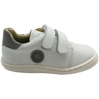gioseppo zapatillas zapatilla barefoot nino saranac 73553 para nino