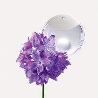 im a drop dissey edp vaporizador 50ml