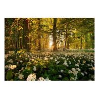 papel pintado 3d - flora forestal 350x245 cm