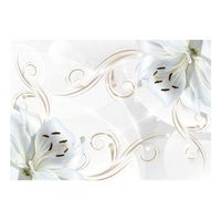 papel pintado 3d - bailarinas blancas 350x245 cm
