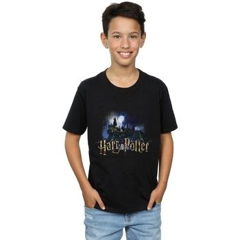 Harry Potter Tops y Camisetas Hogwarts para niño