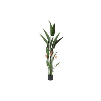 Planta Poliester Pp 75x75x180 Ave Del Praiso Verde