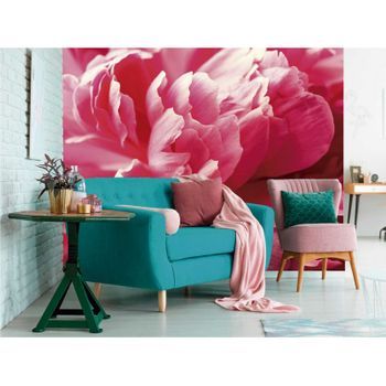 Fotomural Vinilo Flor Peonía Rosa 500 X 300 Cm