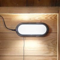 solar shed light - 50 lumen