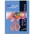 piel - g. endocrinas (maxi atlas 10)