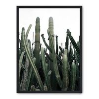 cuadro cactus iii