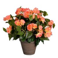 planta artificial begonia salmon  h37xb36xl36cm