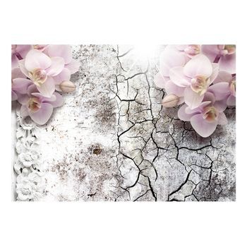 Papel Pintado 3d - Bright Red Orchids (150x105 Cm)