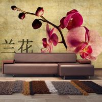 fotomural - japanese orchid