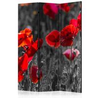 biombo - red poppies 135x172 cm