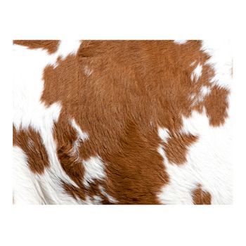 Papel Pintado 3d - Cuero De Vaca (250x193 Cm)