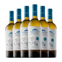 sommos vino blanco varietales somontano crianza 75 cl 135 vol pack de 6 unidades