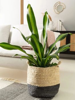 Cesta crema/gris 30x30x30