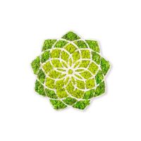 decoracion pared daisy verde blanco 44x16x44 cm