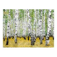 papel pintado 3d - en el bosque de abedules  200x154 cm