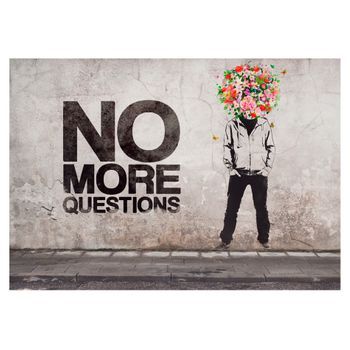 Papel Pintado 3d - No More Questions (350x245 Cm)