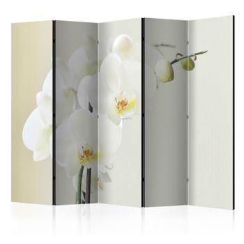 Biombo - White Orchid Ii (225x172 Cm)