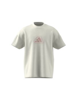 Camiseta adidas All Szn Graphic Seasonal Hombre Blanco
