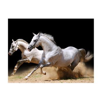 Papel Pintado 3d - Galope En La Arena (300x231 Cm)