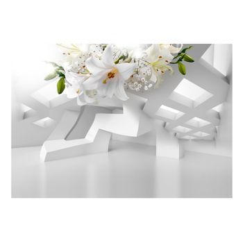 Papel Pintado 3d - Abstract Mirage (350x245 Cm)