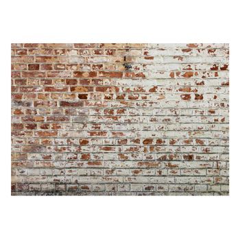 Papel Pintado 3d - Walls Of Memory (350x245 Cm)