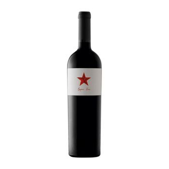 Benjamín Romeo & Ismael Gozalo Vino Tinto Rioja 75 Cl 14.5% Vol.