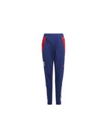 pantalon adidas olympique lyonnais 20242025 tiro24 training infantil azul