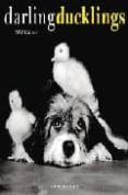 darling ducklings 2008 calendario 30x30
