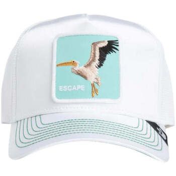 Goorin Bros Sombrero Cappello para niño