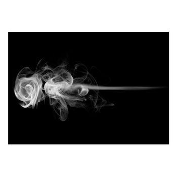 Papel Pintado 3d - Rosa (humo) (300x231 Cm)