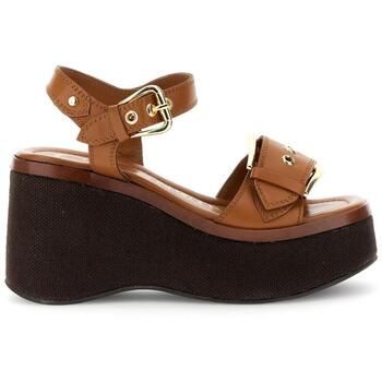 Café Noir Sandalias CAF-RRR-GE1021-M007 para mujer