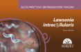 guias practicas en produccion porcina lawsonia intracellularis