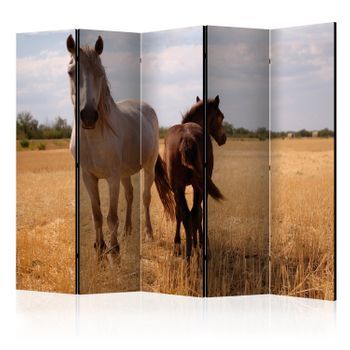 Biombo - Horse And Foal Ii (225x172 Cm)