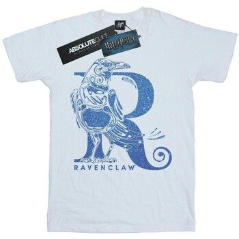Harry Potter Camiseta Ravenclaw para hombre