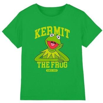 The Muppets Tops y Camisetas TV35287 para niño