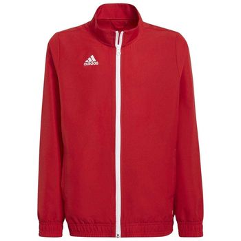 adidas Chaqueta Entrada 22 para niño